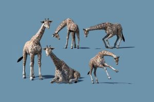 Unreal Engine – African Animal Giraffe UE2809