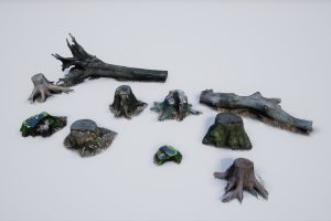 Unreal Engine – Photo-scanned Realistic Tree Stumps / Trunks UE1645