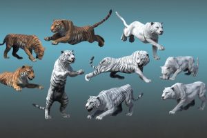 Unreal Engine – Asian Animal Tiger UE5018