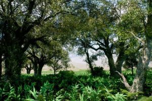 Unreal Engine – Realistic forest vegetation lowpoly UE2731