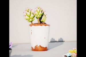Unreal Engine – PottedPlantPack9 UE2791