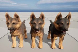 Unreal Engine – Puppy Shepherd UE2823