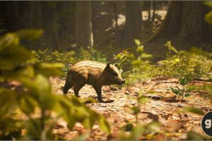 Unreal Engine – Animalia Wild Boar young UE5006