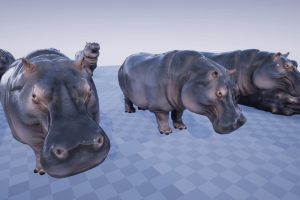 Unreal Engine – AFRICAN ANIMALS PACK UE2997