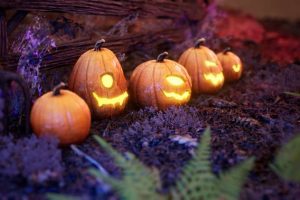 Unreal Engine – Halloween Pumpkins 150 variations UE2780