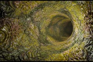 Unreal Engine – Alien Surface Pack of 8 Materials UE2854