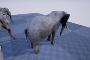 Unreal Engine – ELEPHANT UE5079