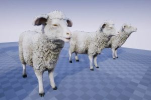 Unreal Engine – FARM ANIMALS PACK UE5087
