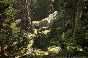 Unreal Engine – MW Conifer Trees Forest Biome UE2662