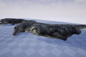 Unreal Engine – CROCODILE UE5056