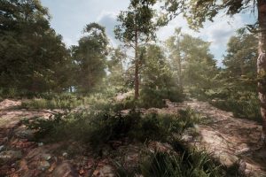Unreal Engine – Scots Pine Tree Pack UE2742