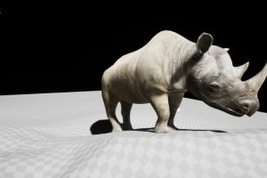 Unreal Engine – Complete Animals UE5036