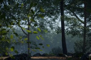 Unreal Engine – MAE Oak Forest UE2699