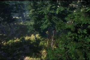 Unity – Mountain Trees Dynamic Nature U5037