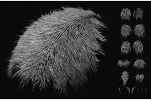 Artstation – Fine Fur IMM for ZBrush C5592
