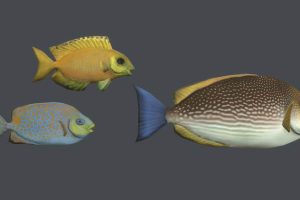 Unreal Engine – Underwater Life UE5324