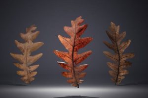 Unreal Engine – Leaf Pack UE5679