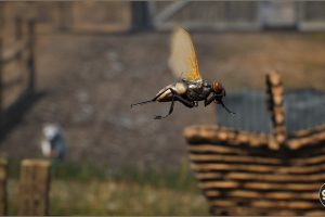 Unreal Engine – Animalia Housefly UE5817