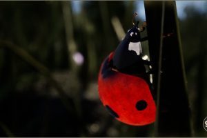 Unreal Engine – Animalia Ladybug UE5818