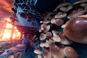 Unreal Engine – Invasive Fungi Mushroom Pack 2 UE5386