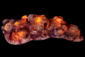 Unreal Engine – Biomass II UE5664