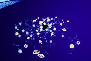 Unreal Engine – Niagara Constellations UE5618