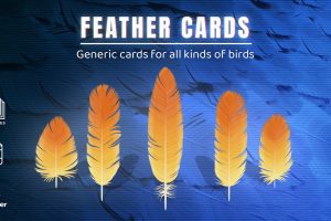 Feather Cards Texture Pack for your Feathered Creatures C5612