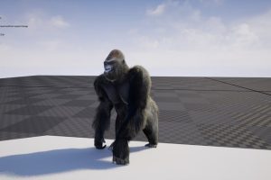 Unreal Engine – Gorilla with groom UE5894