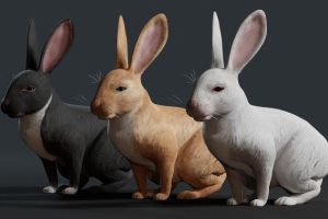 Unreal Engine – Realistic Rabbit UE6162
