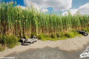Unreal Engine – mediterranean Vegetation giant Reed UE6039