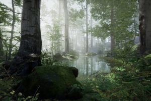 Unreal Engine – Forest Environment Set UE5919