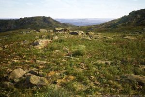 Unreal Engine – Meadow Wetlands Landscape UE5928