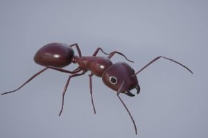 Unreal Engine – Medhue Insect Pack UE5976