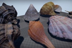 Unreal Engine – Seashells and Starfishes UE6042