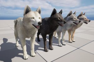 Unreal Engine – Wolf Male UE6160