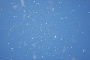 Unreal Engine – Niagara Weather UE5956