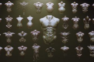 Artstation – TORSOS – 33 Character & Creature Zbrush Insertmesh Brush C5739
