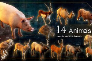 14 Animals_ 3d model C5690