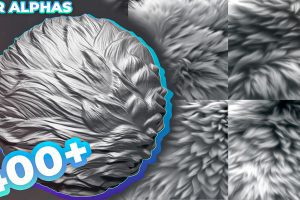 400+ Fur Alphas (Displacement Maps) for ZBrush, Blender, Substance Painter vol.8  C5700