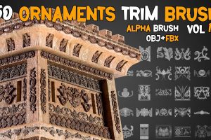 50 Ornaments Trim Brushe – Vol 10  C5703