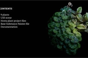 Foliage Study – Project files (UE5, Substance Painter, ZBrush) C5706