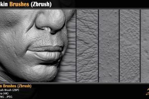 Artstation – 40 Skin Brushes (Zbrush) C5725