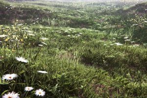 Unity-Realistic Meadow 2021 ・ Ground Vegetation U3746