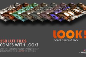 Unreal Engine – Chameleon Post Process UE6232