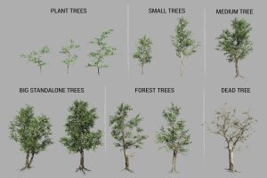 Unity-Meadow Environment – Dynamic Nature U3538