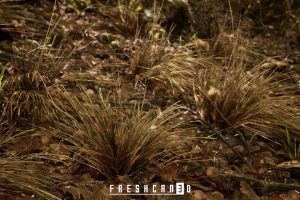 Unreal Engine – Procedural Oak Forest UE7038