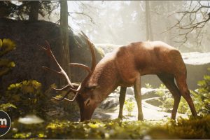 Unreal Engine – Animalia – Red Deer (male) UE7252