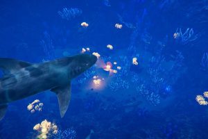 Unity-Ocean Environment Pack U3956