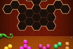 Unity-Hexa Puzzle Block U3949