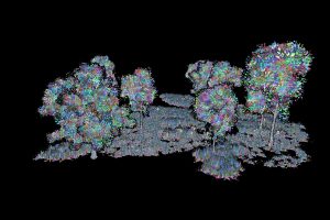 Unreal Engine Stylized Foliage Pack V.01 UE7543